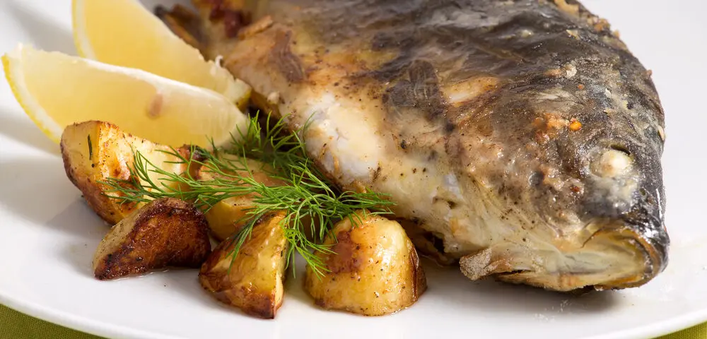 La Carpe, un Poisson à Redécouvrir