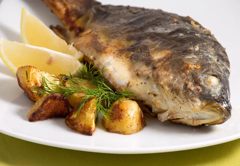 La Carpe, un Poisson à Redécouvrir