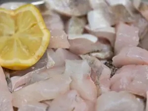 goujonnette de carpe , goujonnette de sandre , 