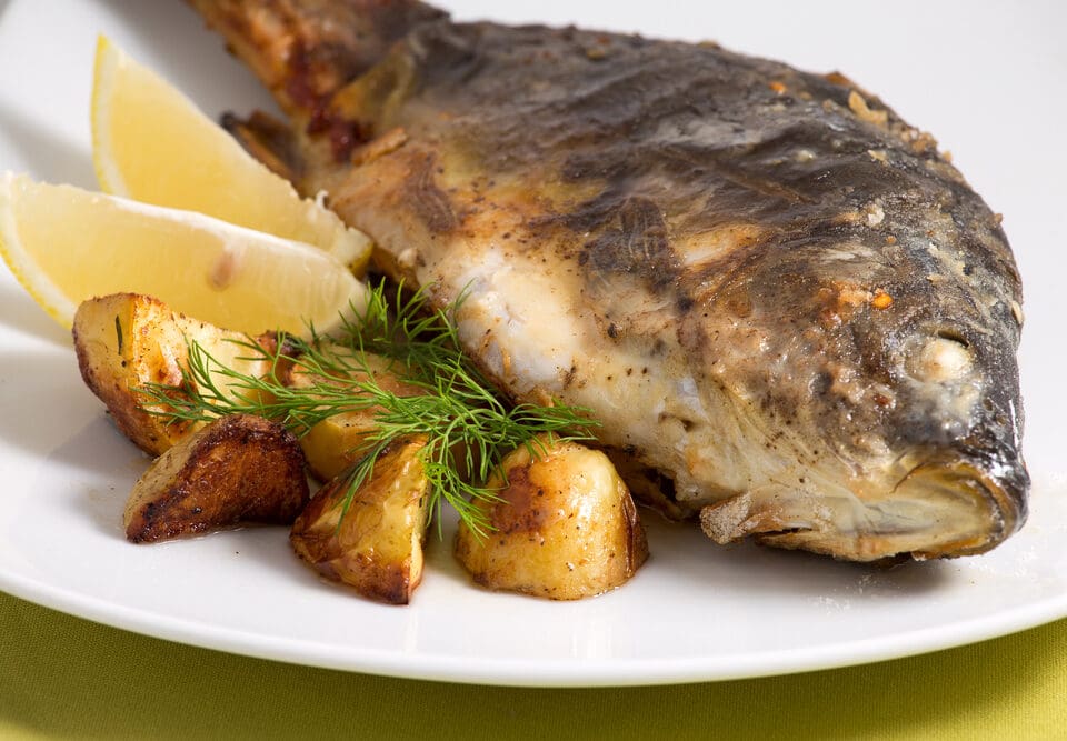 La Carpe, un Poisson à Redécouvrir
